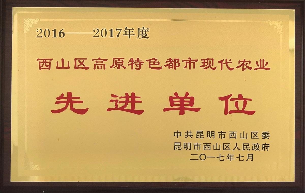 高原特色都市現(xiàn)代化農(nóng)業(yè)先進單位1.jpg