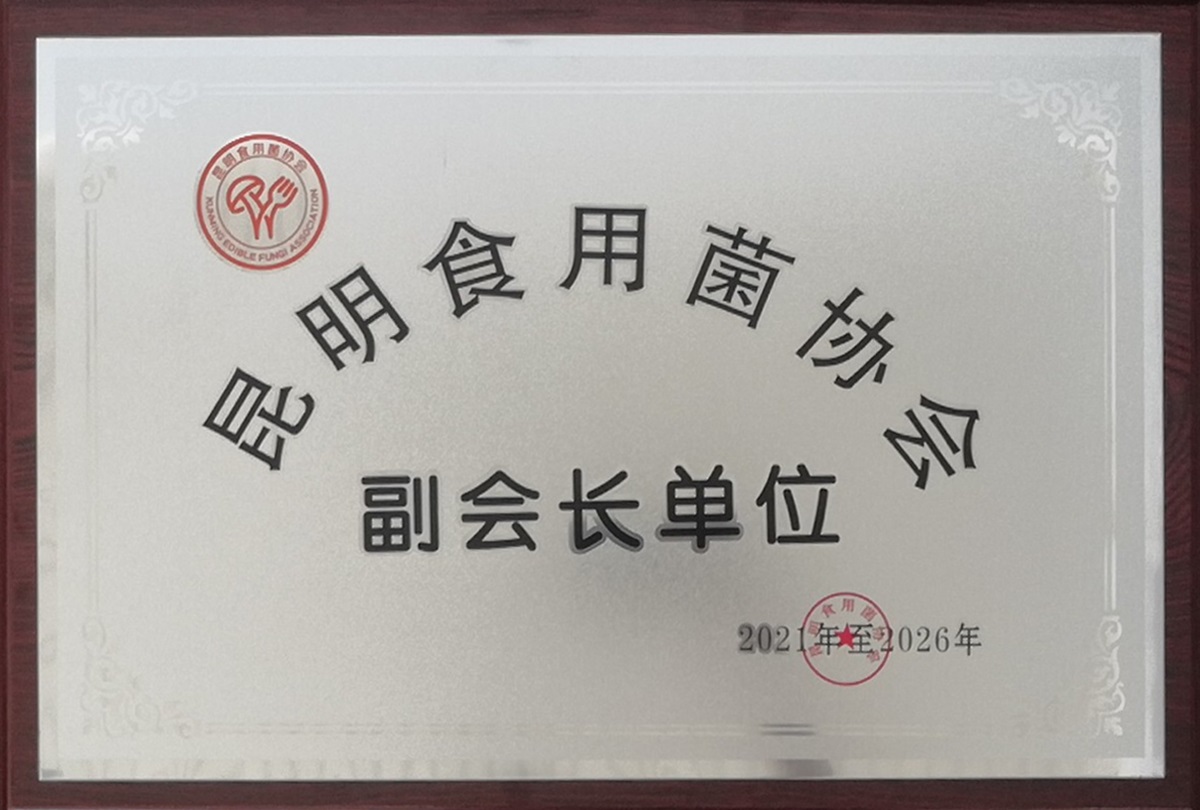 昆明食用菌協(xié)會-副會長單位1.jpg